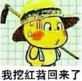 我挖红苕回来了930头像