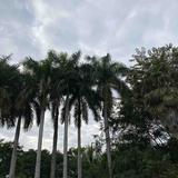 178303937头像