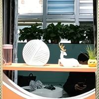 做窗帘的老王头像