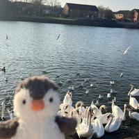 一块小饼干237头像