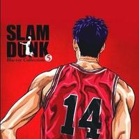 等完青春的全国大赛头像