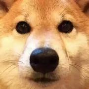 758的个人资料头像