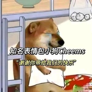 Cheems世无双头像
