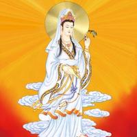 心有千千劫985头像