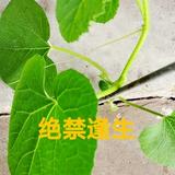 用户3001069479717头像