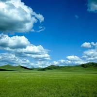 用户9084317450867头像