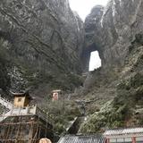 富足面条MAV头像