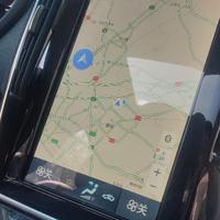 单纯百灵鸟zX1头像