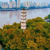 77不是886头像
