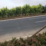 其乐融融扎兰屯8T6头像