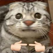 HoWa的个人资料头像