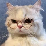 用户7732966389195头像