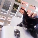 Emma爱学习的个人资料头像