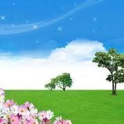 summer_angel的个人资料头像