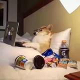 用户2295039244828头像