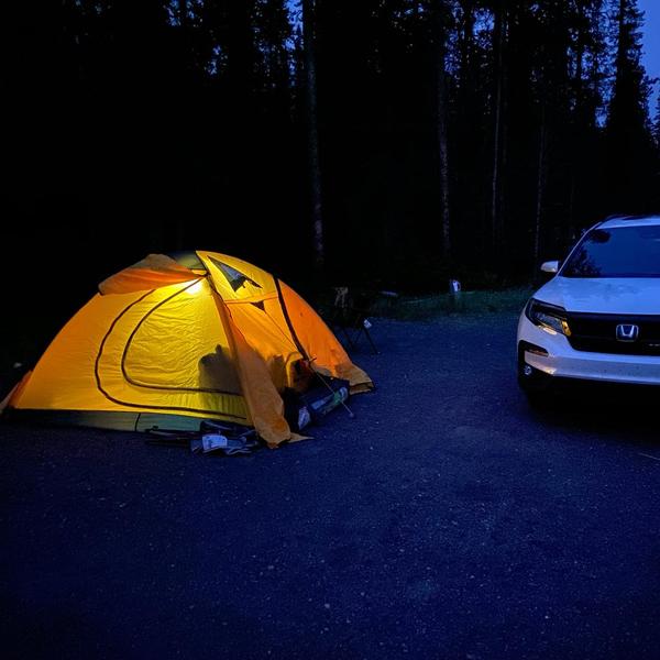 关不住的奥利弗头像