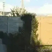 Dzuo的个人资料头像