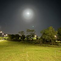 春风十里Youngli头像