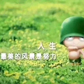 加油，小郑！头像