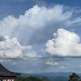 珍惜3216166940325头像