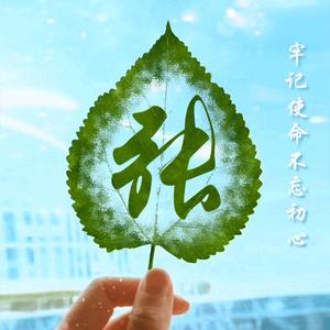 老张说职业教育头像