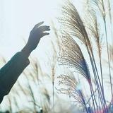 秋落暗尘158头像
