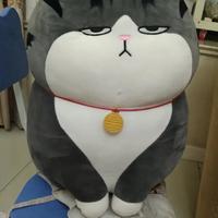 乐皮乐皮乐皮头像