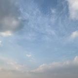 大通V80车主头像