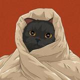 一只钢琴猫头像