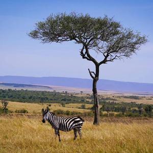 正能量漂流瓶2Dl头像