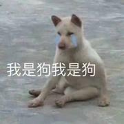 全自动智能抽水马桶的个人资料头像