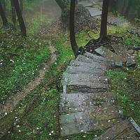 番茄3083466500748807头像