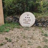 幽兰人生1头像