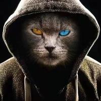 奔奔大侠啊头像