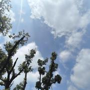 wanYin2g的个人资料头像