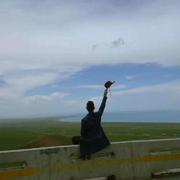 aMarry的个人资料头像