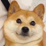 小郭27263头像