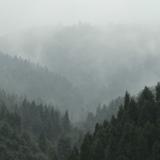 热情小鱼Hej头像