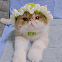 用户525606873040头像