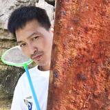 影视人王素涛头像