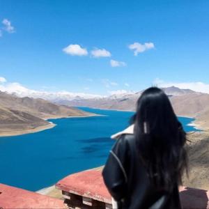 凤婷情感头像