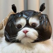 我不可能有bug的个人资料头像