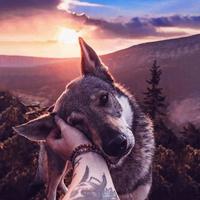 家里蹲七四头像