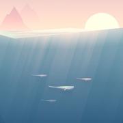 安心359的个人资料头像