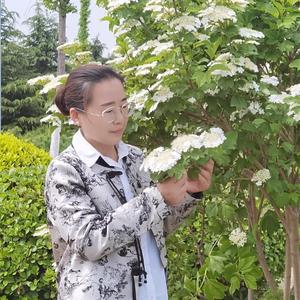 侯姐生活记头像