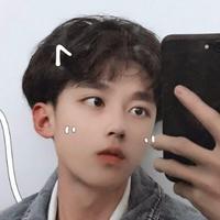 纳尼各西瓦头像