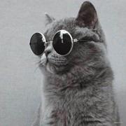 前端不专业搬砖工的个人资料头像