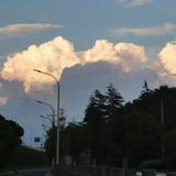 自在山雀AZX头像