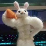 AstroboyPlus的个人资料头像