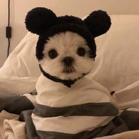 用户1386480176813头像